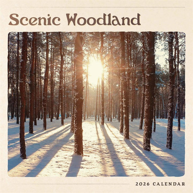 CarouselCalendars Scenic Woodland Kalender 2026