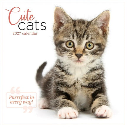 CarouselCalendars Schattige Katten Kalender 2027