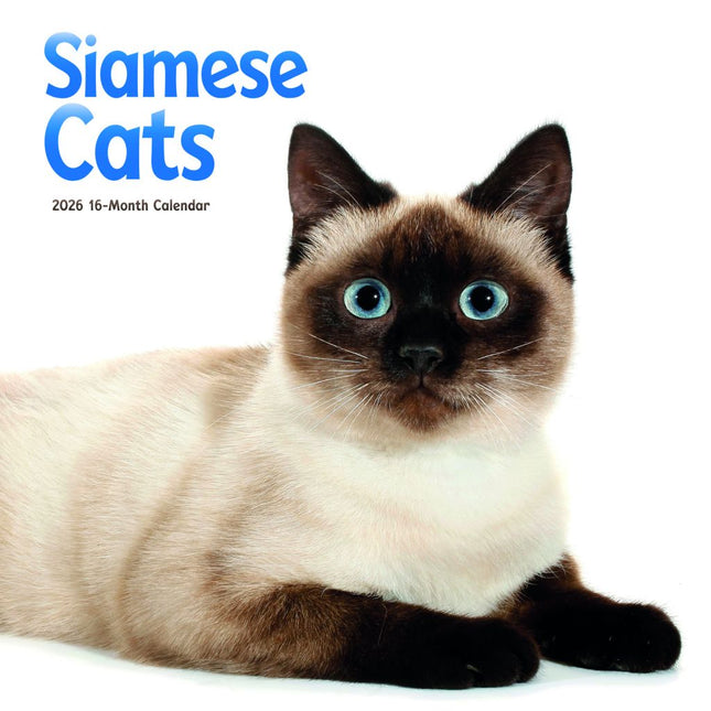 CarouselCalendars Siamees Kalender 2026