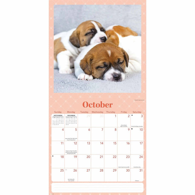 CarouselCalendars Slapende Puppies Kalender 2026