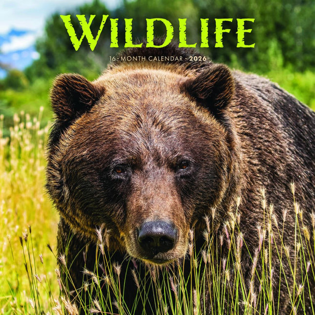 CarouselCalendars Wildlife Kalender 2026