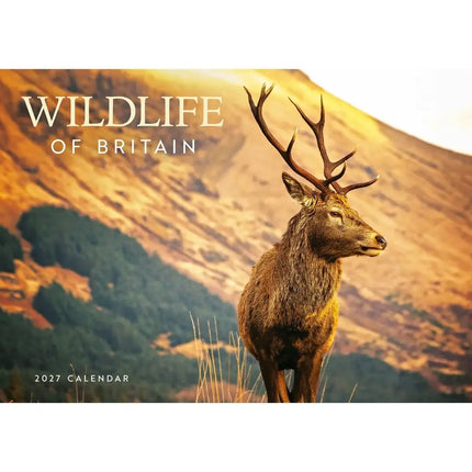 CarouselCalendars Wildlife Of Britain A4 Kalender 2027