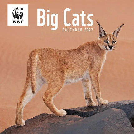 CarouselCalendars WWF Big Cats Kalender 2027