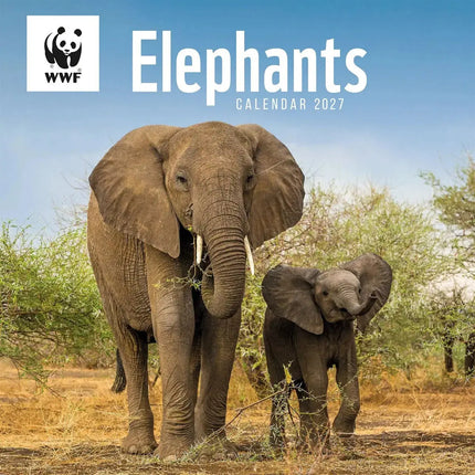 CarouselCalendars WWF Olifanten Kalender 2027