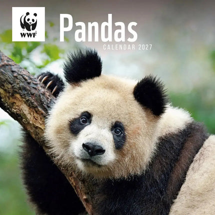 CarouselCalendars WWF Panda's Kalender 2027
