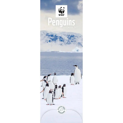 CarouselCalendars WWF Penguins Slimline Kalender 2027