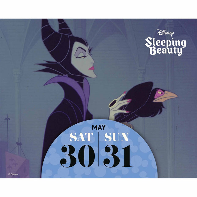 Danilo Disney Boxed Kalender 2026