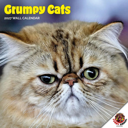 Dayplanner Grumpy Cat Kalender 2027
