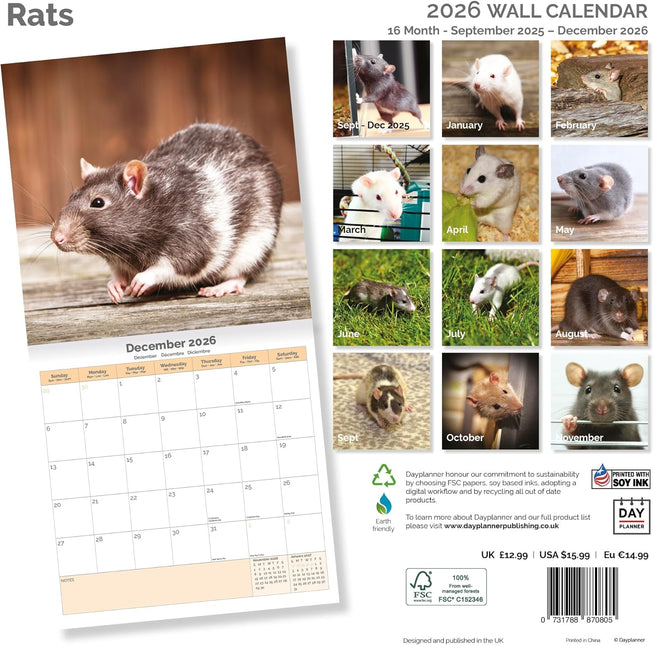 Dayplanner Ratten Kalender 2026
