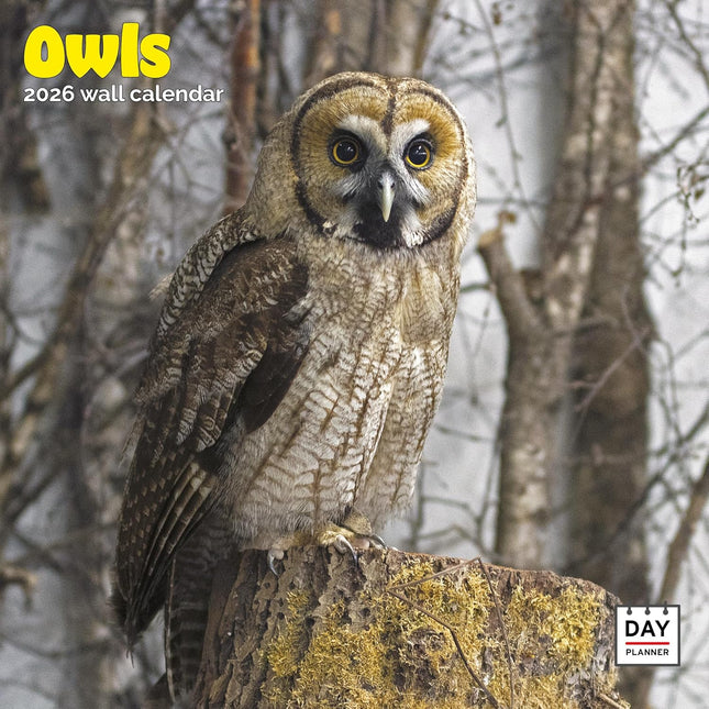 Dayplanner Uilen Kalender 2026