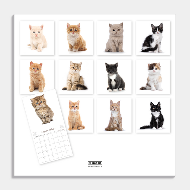 De Hobbit Katten Kalender 2026