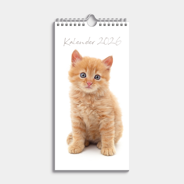 De Hobbit Katten Mini Kalender 2026