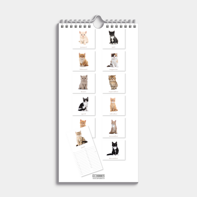 De Hobbit Katten Mini Kalender 2026