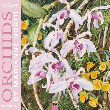 Flame Tree Kew Gardens: Orchids Kalender 2027 Mini