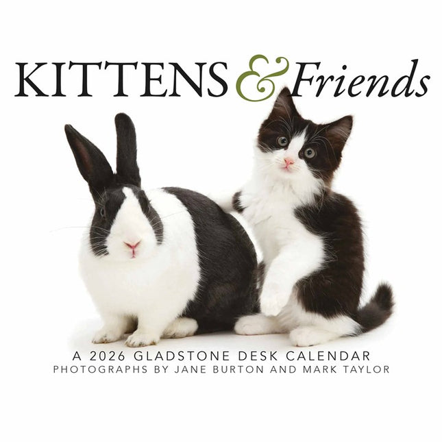Gladstone Media Kittens en Vrienden Scheurkalender 2026 Boxed