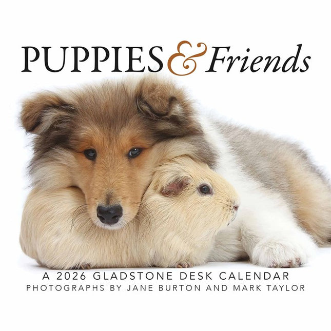Gladstone Media Puppies en Vrienden Scheurkalender 2026 Boxed