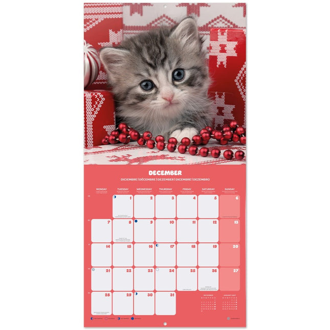 Grupo Kittens Kalender 2026