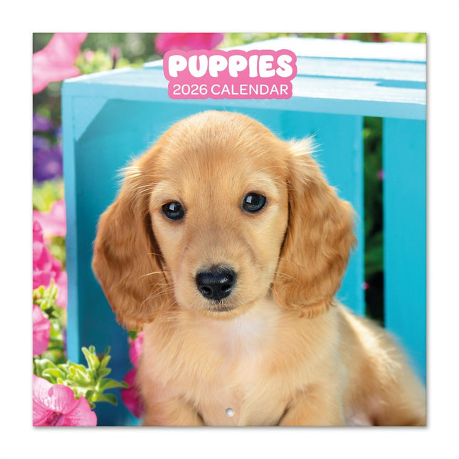 Grupo Puppies Kalender 2026