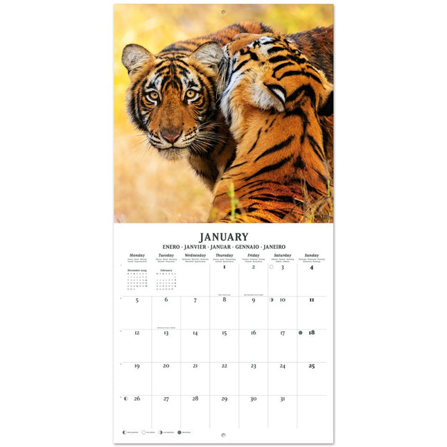 Grupo Wildlife Kalender 2026