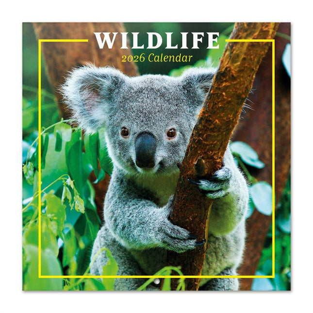 Grupo Wildlife Kalender 2026