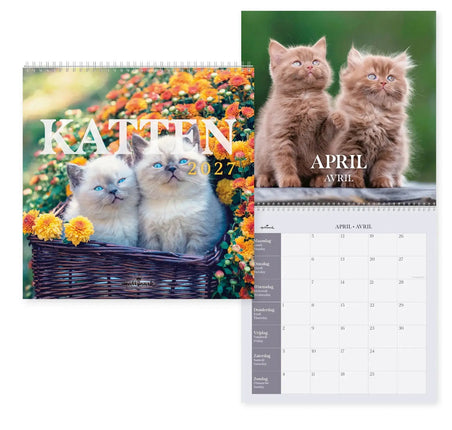 Hallmark Cats Kalender 2027