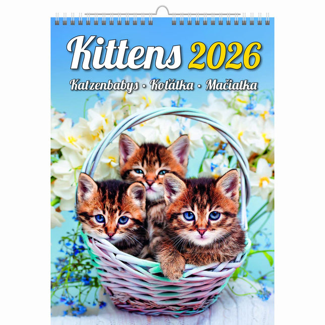 Helma Kittens Kalender 2026