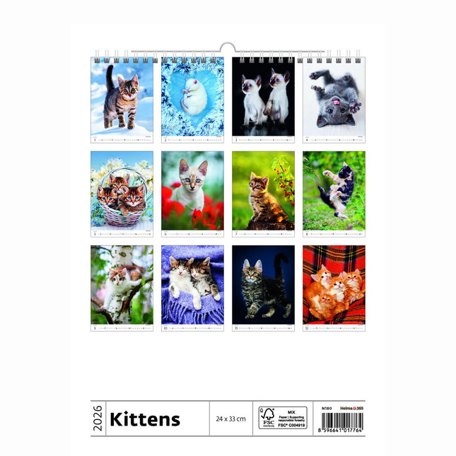 Helma Kittens Kalender 2026