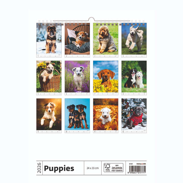 Helma Puppies Kalender 2026