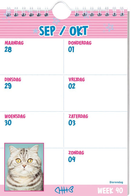 Inter-Stat Rachael Hale Katten Weekkalender 2026