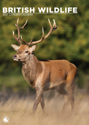 kalenderwinkel British Wildlife A3 Kalender 2027