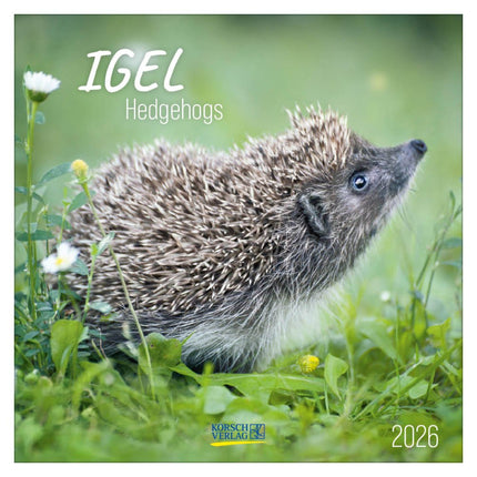 Korsch Verlag Egel Kalender 2026