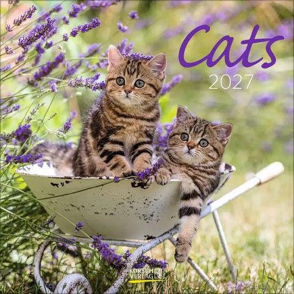 Korsch Verlag Katten Kalender 2027