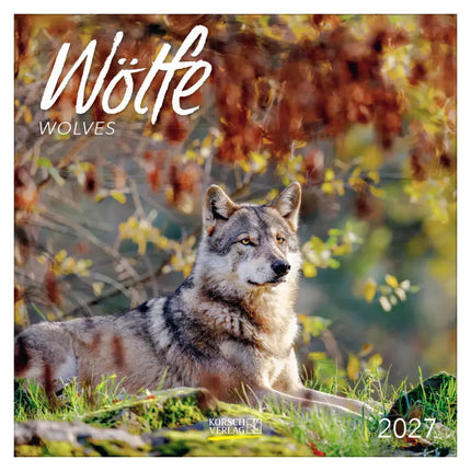 Korsch Verlag Wolven Kalender 2027