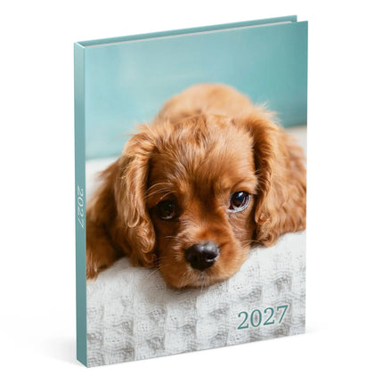 Lannoo Honden Desk Agenda 2027