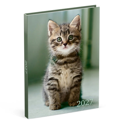 Lannoo Katten Desk Agenda 2027