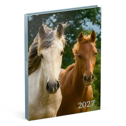 Lannoo Paarden Desk Agenda 2027