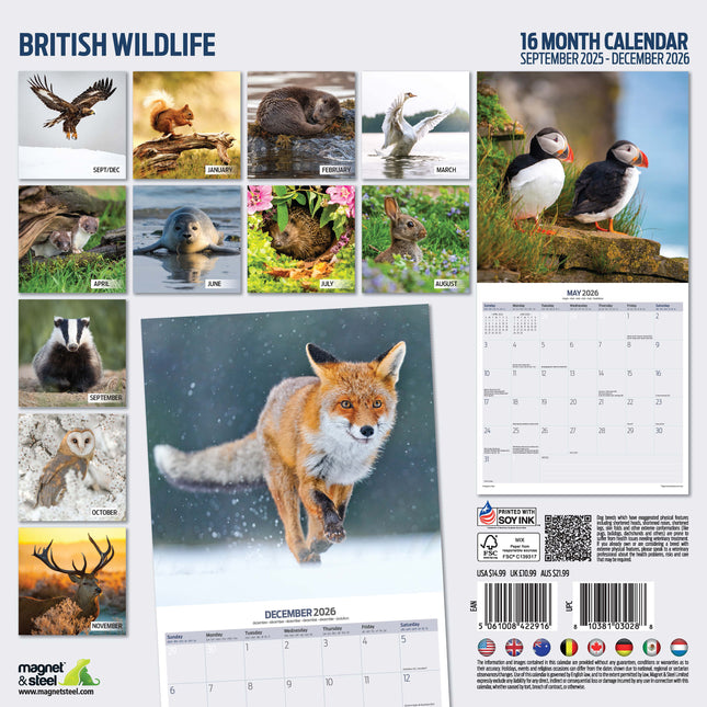 Magnet & Steel British Wildlife Kalender 2026