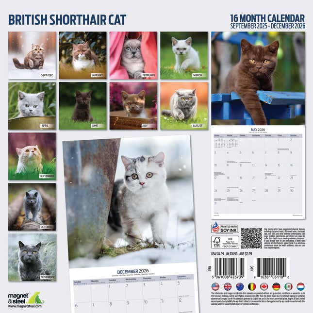 Magnet & Steel Brits Korthaar Kalender 2026