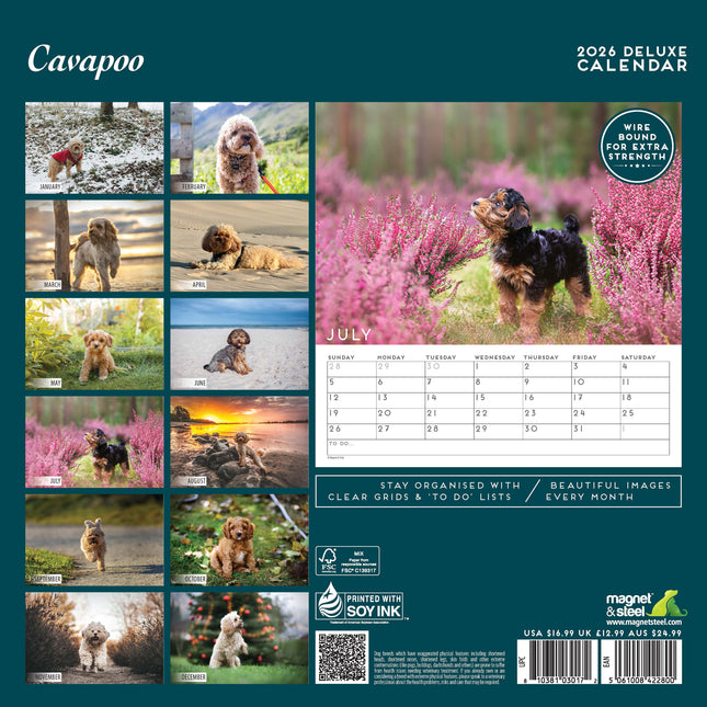 Magnet & Steel Cavapoo Kalender 2026 Deluxe