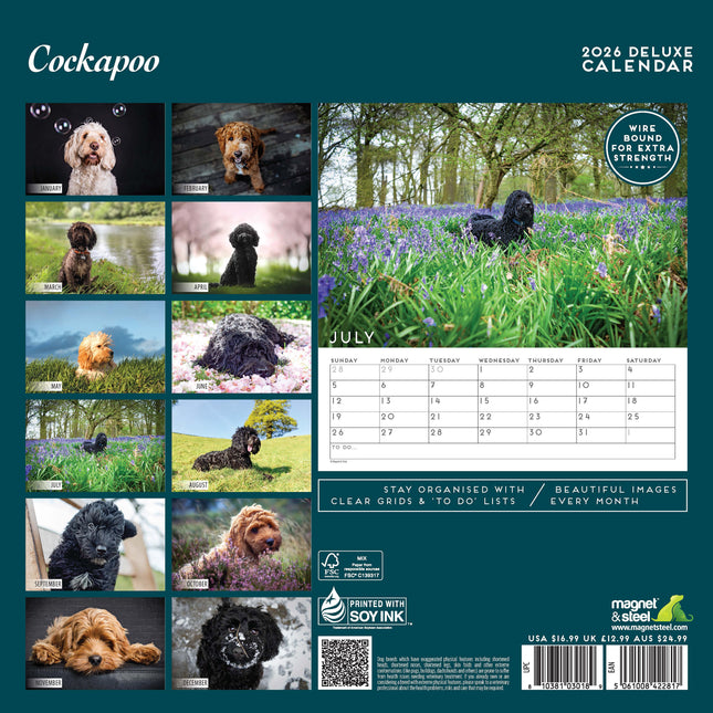 Magnet & Steel Cockapoo Kalender 2026 Deluxe