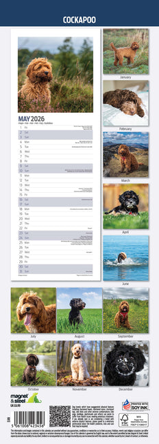 Magnet & Steel Cockapoo Kalender 2026 Slimline