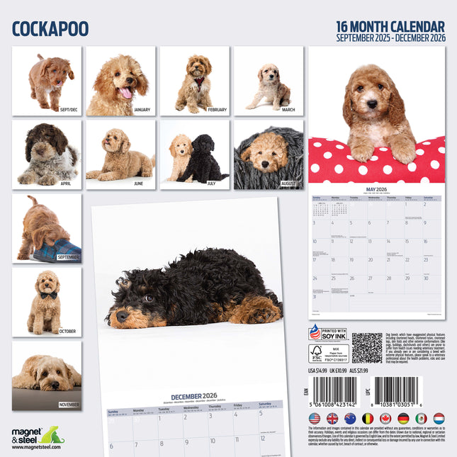 Magnet & Steel Cockapoo Modern Kalender 2026