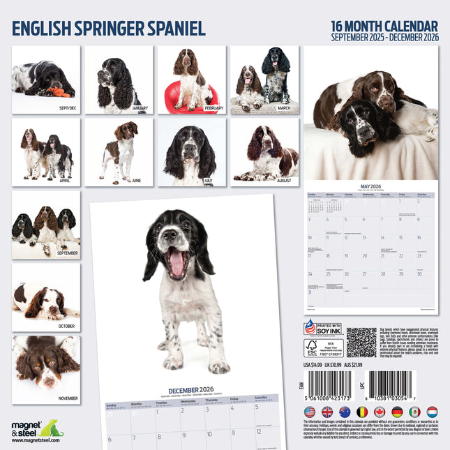 Magnet & Steel Engelse Springer Spaniel Modern Kalender 2026