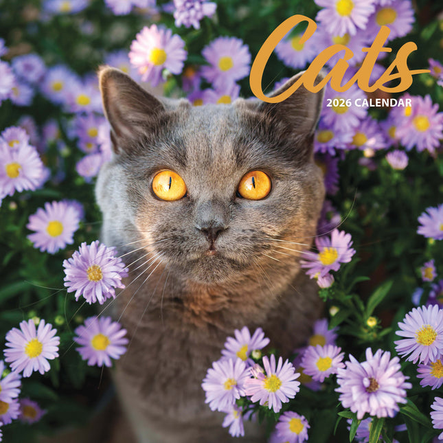 Magnet & Steel Katten Kalender 2026