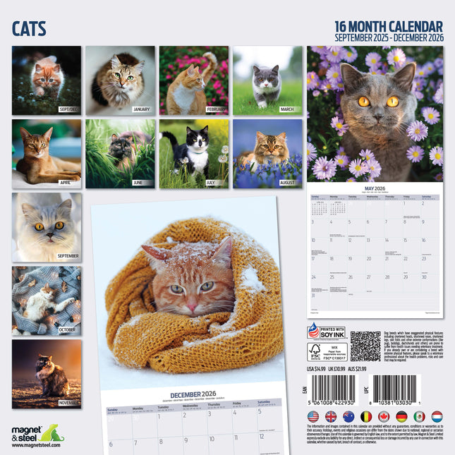Magnet & Steel Katten Kalender 2026