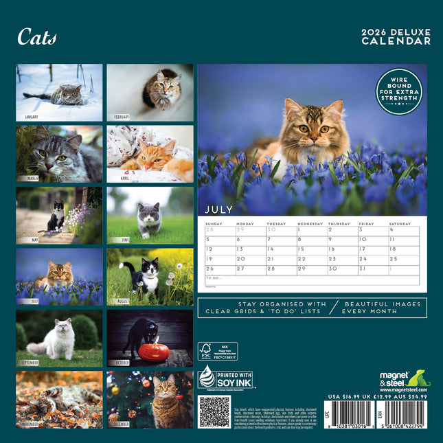 Magnet & Steel Katten Kalender 2026 Deluxe