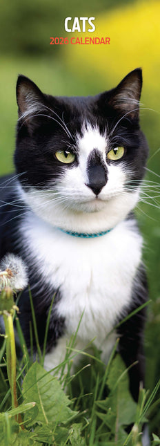 Magnet & Steel Katten Kalender 2026 Slimline