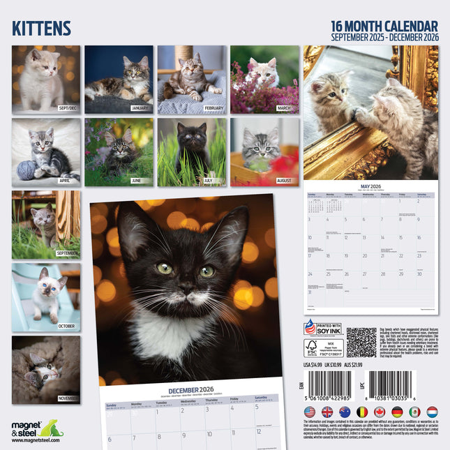 Magnet & Steel Kittens Kalender 2026