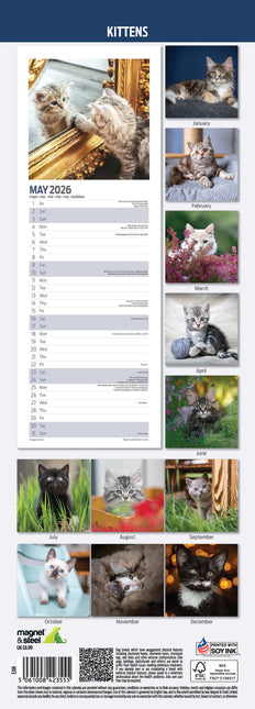 Magnet & Steel Kittens Kalender 2026 Slimline