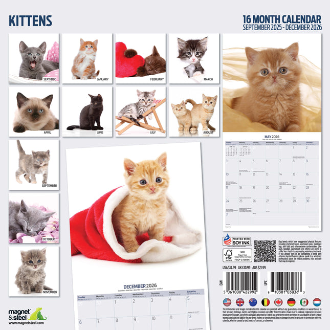 Magnet & Steel Kittens Modern Kalender 2026